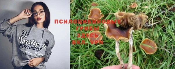 гидропоника Каменка