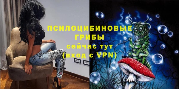 гидропоника Каменка